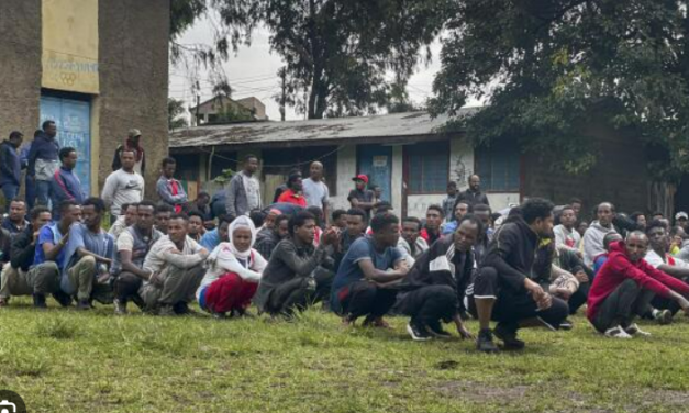 Group Criticizes Ethiopia, Allies Over Rights Violations in Amhara Region