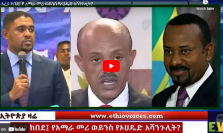 አረጋ ከበደ፤ የአማራ መሪ ወይንስ የኦህዴድ አሻንጉሊት?