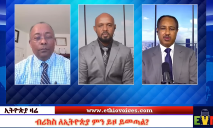 ብሪክስ ለኢትዮጵያ ምን ይዞ ይመጣል?