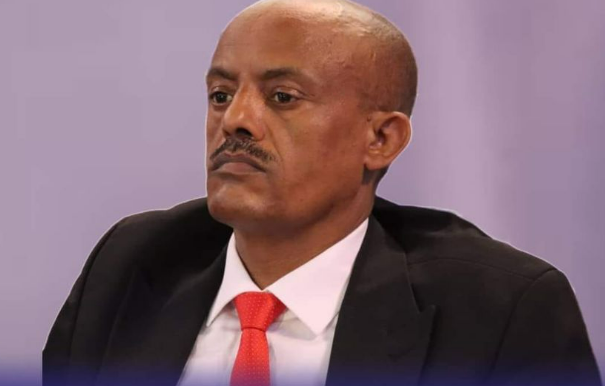 Amhara Regional Council Appoints New President Amidst State of Emergency