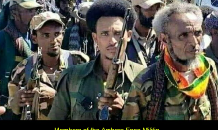 Ethiopia: Escalating Federal Forces, Fano Clashes Deeply Concern Officials