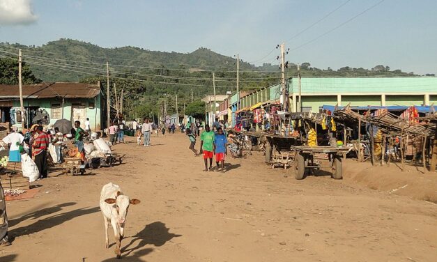 Amhara Soldiers Detained in Jinka Face Extended Incarceration