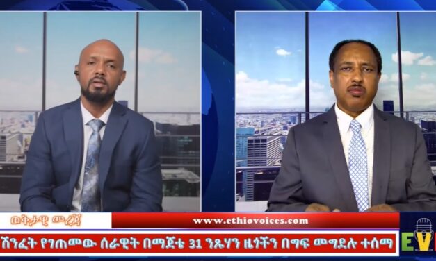 ሽንፈት የገጠመው ሰራዊት በማጀቴ 31 ንጹሃን ዜጎችን በግፍ መግደሉ ተሰማ