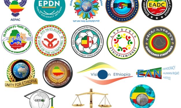 Ethiopian Diaspora Unites in Urgent UN Appeal Over Amhara Crisis