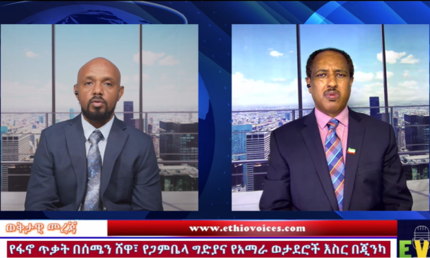 ወቅታዊ መረጃ ፤ የፋኖ ጥቃት በሰሜን ሸዋ፣የጋምቤላ ግድያ፣የአማራ ወታደሮች እስር በጂንካ