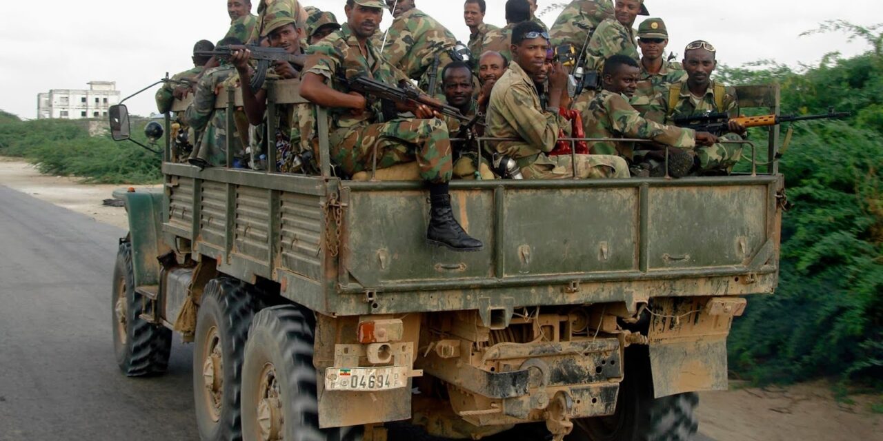 Ethiopian Army Allegedly Kills 31 Civilians, Commits Atrocities in North Shewa