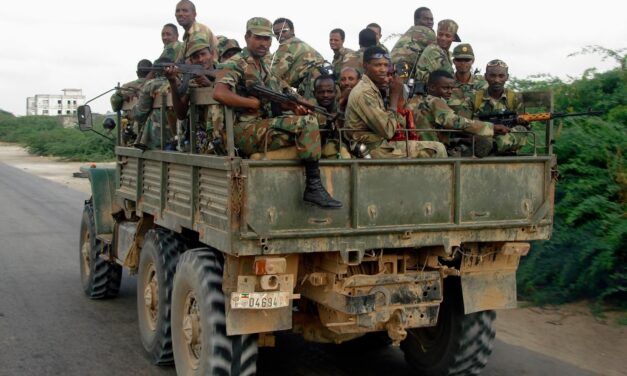 Ethiopian Army Allegedly Kills 31 Civilians, Commits Atrocities in North Shewa