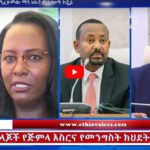 የጅምላ ማጎሩን ዘመቻ የሚፈጽመው ማን ነው? መንግሥት ክዷል