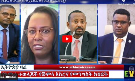 የጅምላ ማጎሩን ዘመቻ የሚፈጽመው ማን ነው? መንግሥት ክዷል