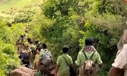 EVN English News Bulletin: Conflict Escalates in Amhara Region