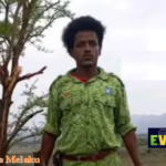 Escalating Violence Continues to Claim Civilian Lives in Amhara Region