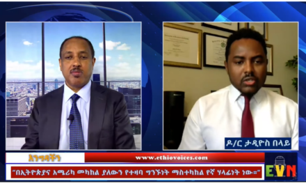 “በኢትዮጵያና በአሜሪካ መካከል ያለውን የተዛባ ግንኙነት ማስተካከል የኛም ሃላፊነት ነው።” ዶ/ር ታዲዮስ በላይ